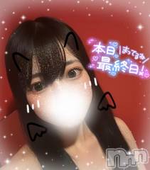 新潟ソープ新潟バニーコレクション(ニイガタバニーコレクション) リサ(21)の11月1日写メブログ「最終日(´இ﹏இ｀)‪💧‬」