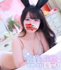 新潟ソープ新潟バニーコレクション(ニイガタバニーコレクション) リサ(21)の12月11日写メブログ「🐰今回の出勤予定🐰」