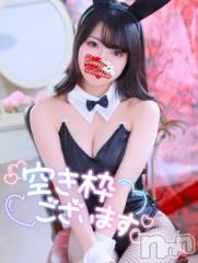 新潟ソープ新潟バニーコレクション(ニイガタバニーコレクション) リサ(21)の3月15日写メブログ「🫧空き枠のご案内🫧」