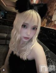 ܱХ顦(ե꡼)ΤŹ®113✨️8̾жФǤ🐰