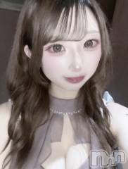 ���ܱ�������Х��顦�����(�ե����꡼��)�Τ�Ź®���1��11��✨️����12̾�жФǤ�🐰��