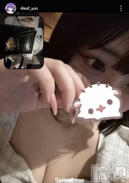 ܱХ顦CLUB FOUR LEAF(ե꡼)  2025ǯ49̥֥4/9 жо
