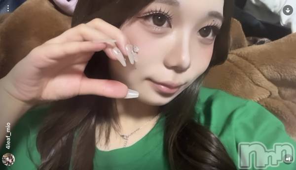 ܱХ顦CLUB FOUR LEAF(ե꡼)  2025ǯ68̥֥6/8 жо