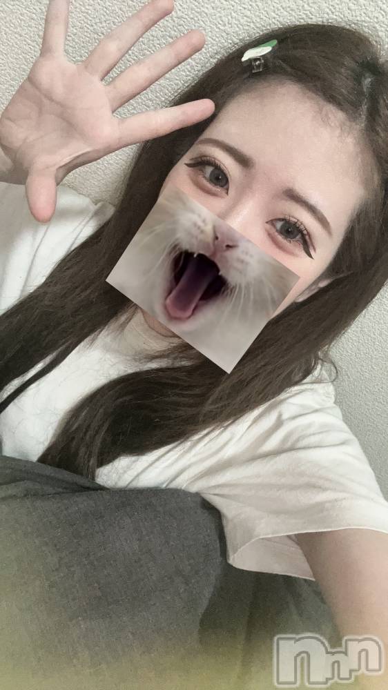 ʥå륺СROYAL ONE() 625̥֥֤