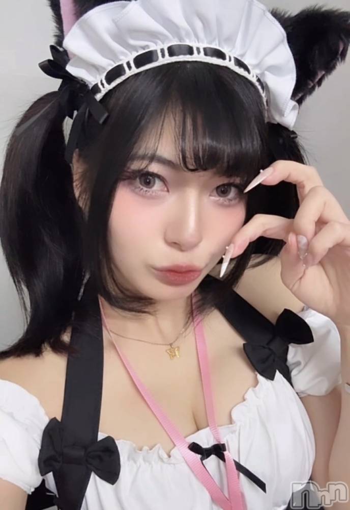 ʥå륺СROYAL ONE() 78̥֥֤ϤԤС