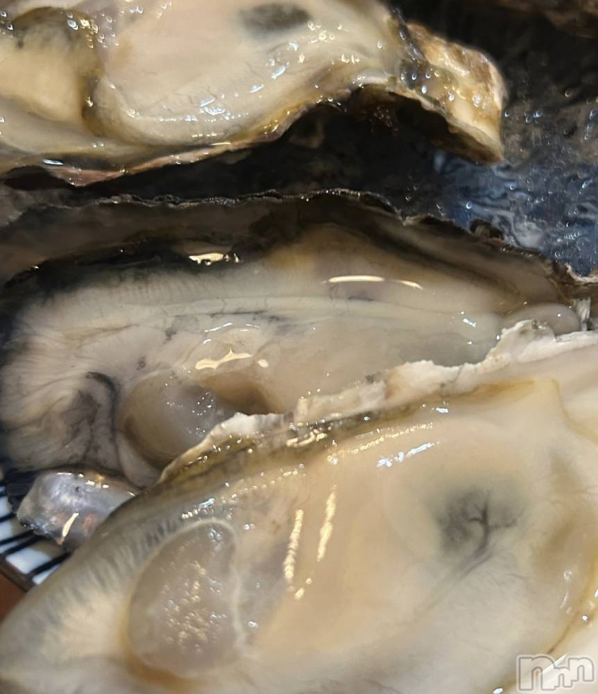 ʥå륺СROYAL ONE() 117ֲ̥֥ڡ