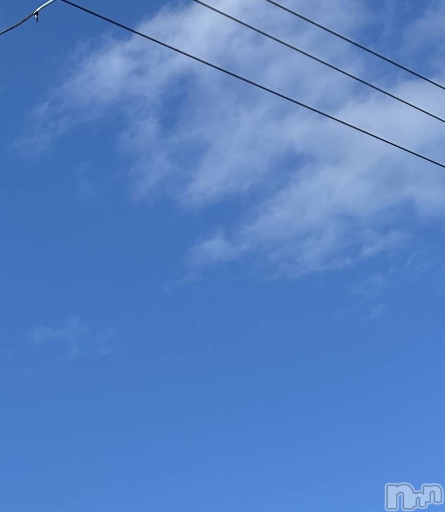 ʥå륺СROYAL ONE() 121̥֥ǫ롪顪