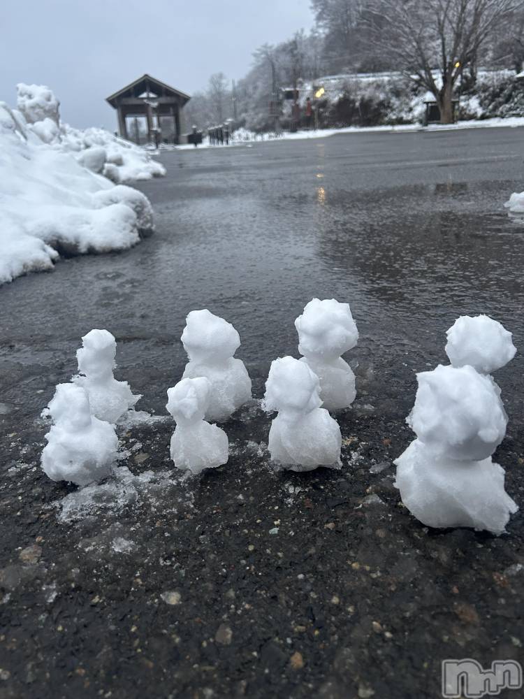 ʥå륺СROYAL ONE() 1210̥֥