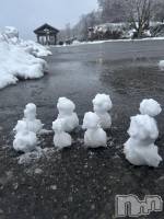 ʥå륺СROYAL ONE() (20)1210̥֥