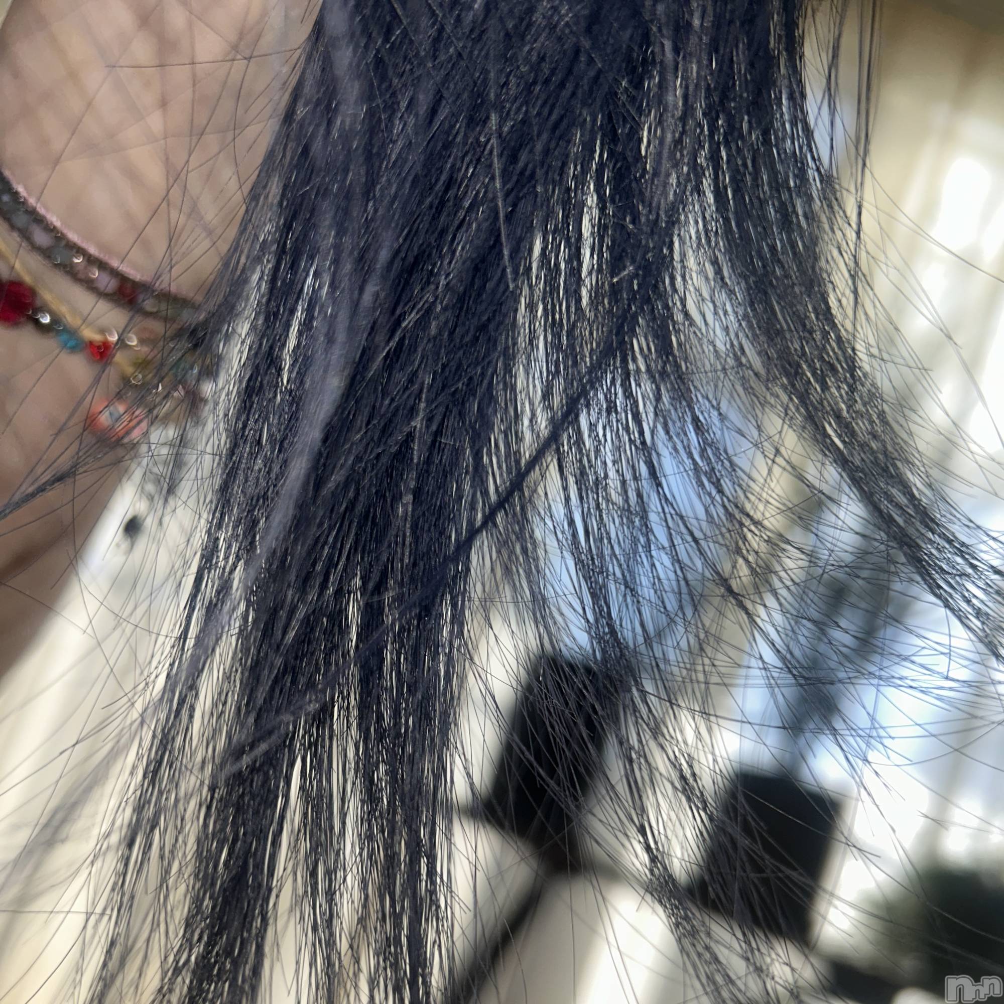 ʥå륺СROYAL ONE() 2025ǯ116̥֥ʬꤺ餤ġ