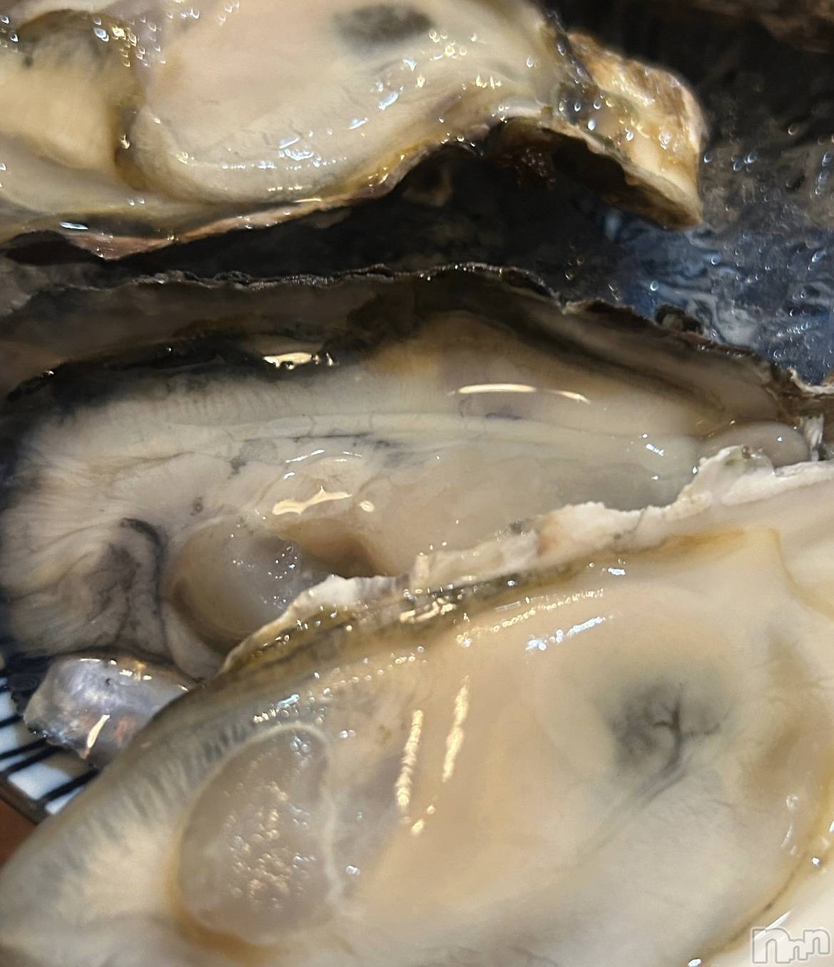 ʥå륺СROYAL ONE() 2025ǯ117ֲ̥֥ڡ