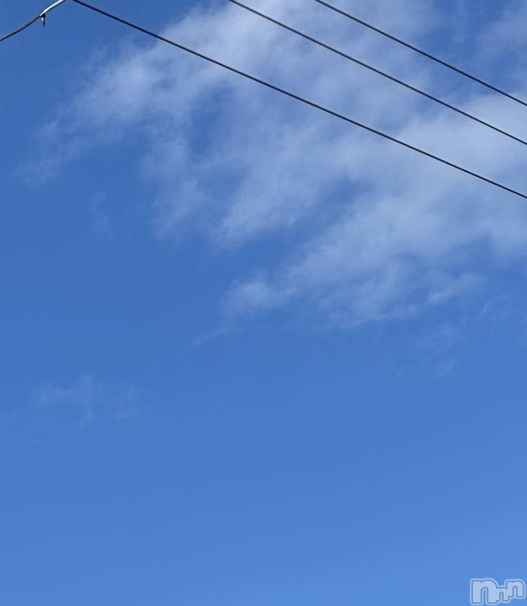 ʥå륺СROYAL ONE() 2025ǯ121̥֥ǫ롪顪