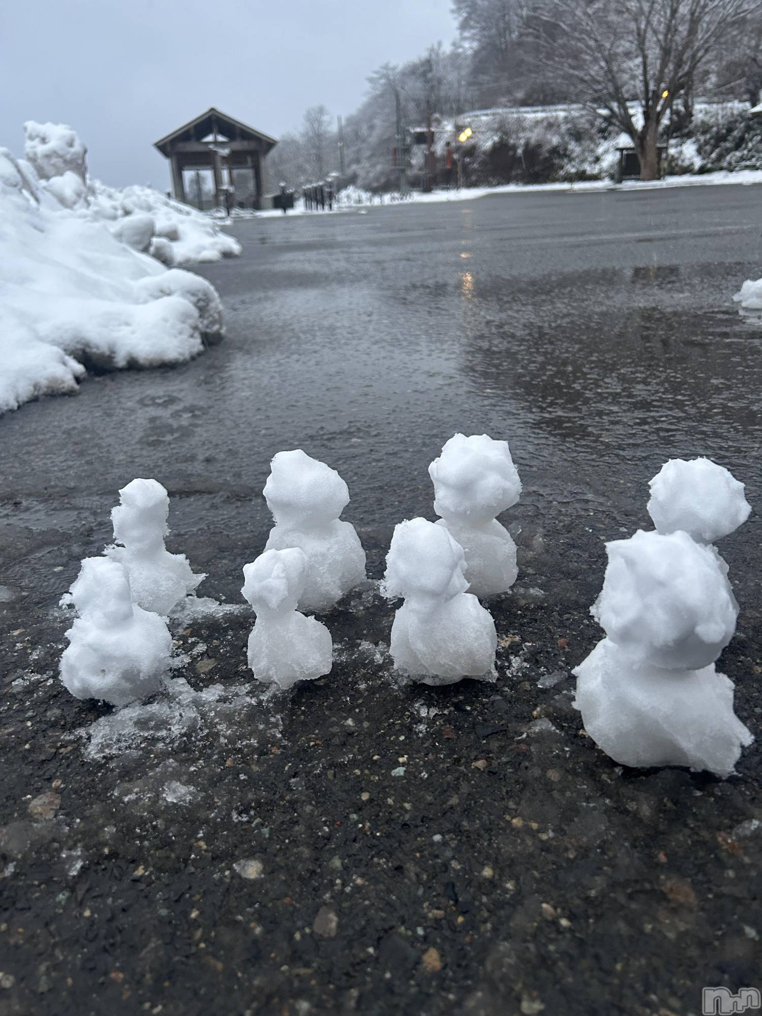 ʥå륺СROYAL ONE() 2025ǯ1210̥֥