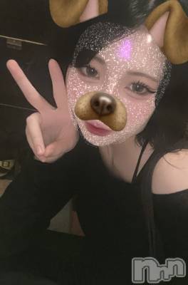 ʥå륺СROYAL ONE() (20)89̥֥֤̲...ᐡ߹ - ߹ᐡ