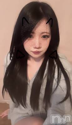 ʥå륺СROYAL ONE() (20)1016̥֥֥✂️