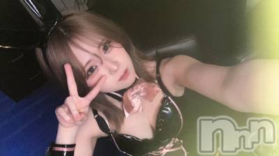 ʥå륺СROYAL ONE() (20)418̥֥֥Хˡ✨