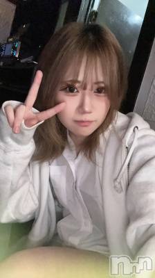 ʥå륺СROYAL ONE() (20)530ֶ̥֥