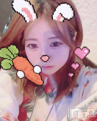 ʥå륺СROYAL ONE() (20)719ֺ̥֥