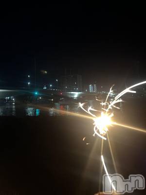 ʥå륺СROYAL ONE() (20)815ֲֲ̥֥С