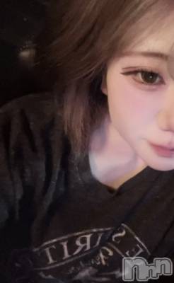 ʥå륺СROYAL ONE() (20)91̥֥9Ȥ