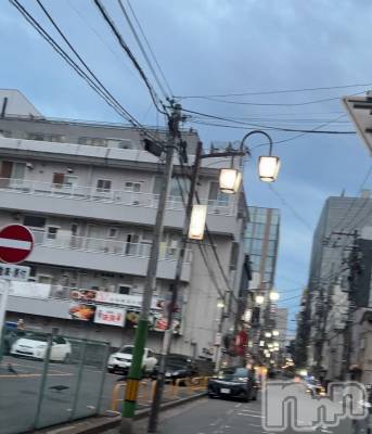 ʥå륺СROYAL ONE() (20)920ֿ̥֥äѤ餤̿