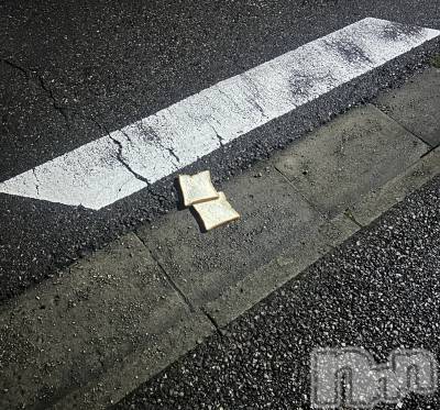 ʥå륺СROYAL ONE() (20)926ֶ̥֥͡