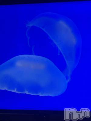 ����������ʥå��������륺�С�ROYAL ONE(���������) ��(20)��12��8���̥�֥�����ʿ����������