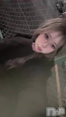 129 2035ʬư