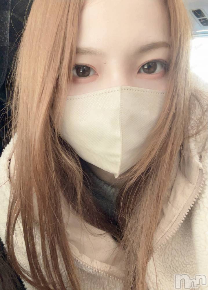 ���ܱ�������Х��顦���������(�����) ���ꤵ��1��2���̥�֥����֤����Ӥ��Ǥ�🤍����