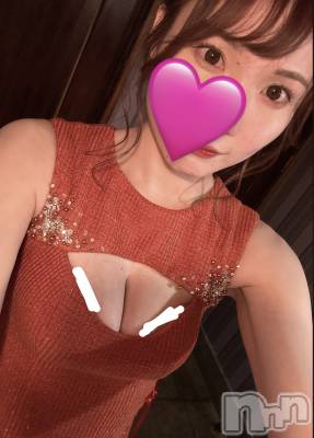 ܱХ顦() ꤵ1220̥֥1֡