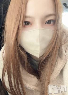 ���ܱ�������Х��顦���������(�����) ���ꤵ��1��2���̥�֥����֤����Ӥ��Ǥ�🤍����