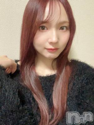 ���ܱ�������Х��顦���������(�����) ���ꤵ��2��11���̥�֥��������衪������