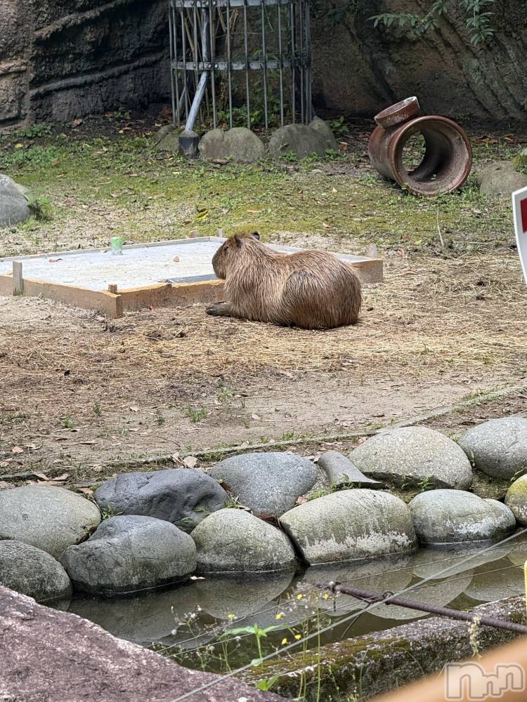 ��ˬ����Х��顦�����CLUB K����Prologue��(����֥���) �줤�ʤ�7��1���̥�֥����֥��ԥХ�🔅��