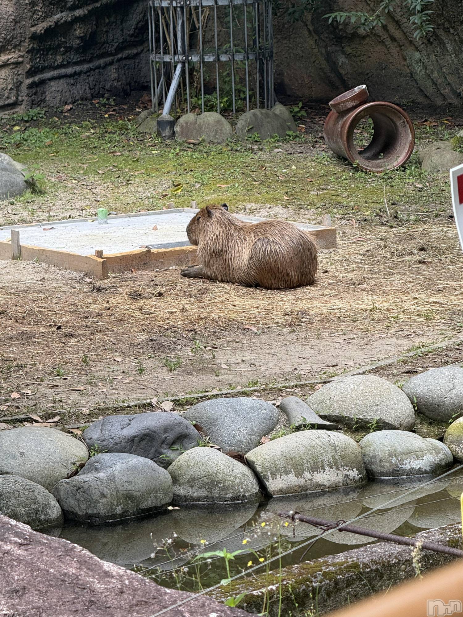 ��ˬ����Х��顦�����CLUB K����Prologue��(����֥���) ��2025ǯ7��1���̥�֥����֥��ԥХ�🔅��