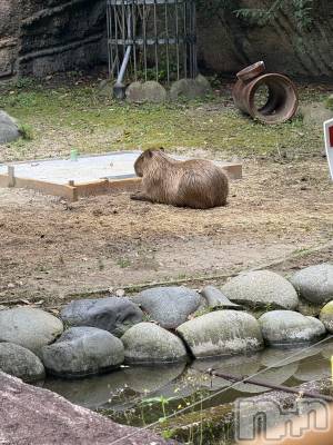 ��ˬ����Х��顦�����CLUB K����Prologue��(����֥���) �줤��(22)��7��1���̥�֥����֥��ԥХ�🔅��