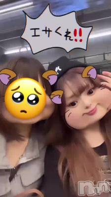 ������Ǥ�����😭