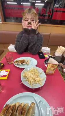 �����ȹԤ����������