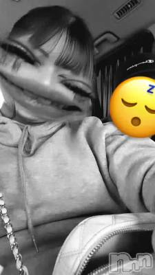 11�������🐾