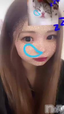 animal day1 🐾♥️