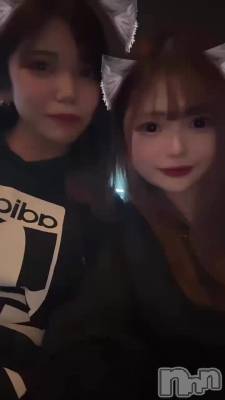 �����Ͻ���⚡️