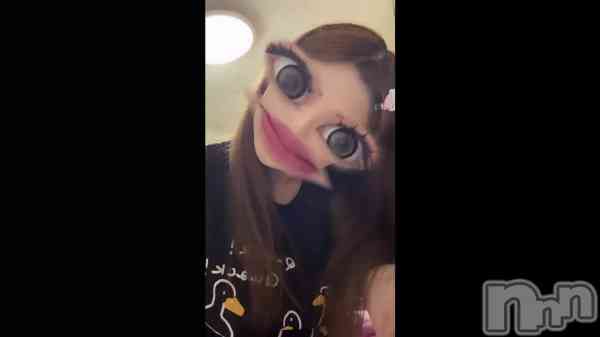 �������🔅��