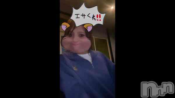 �줤�ʡ����������