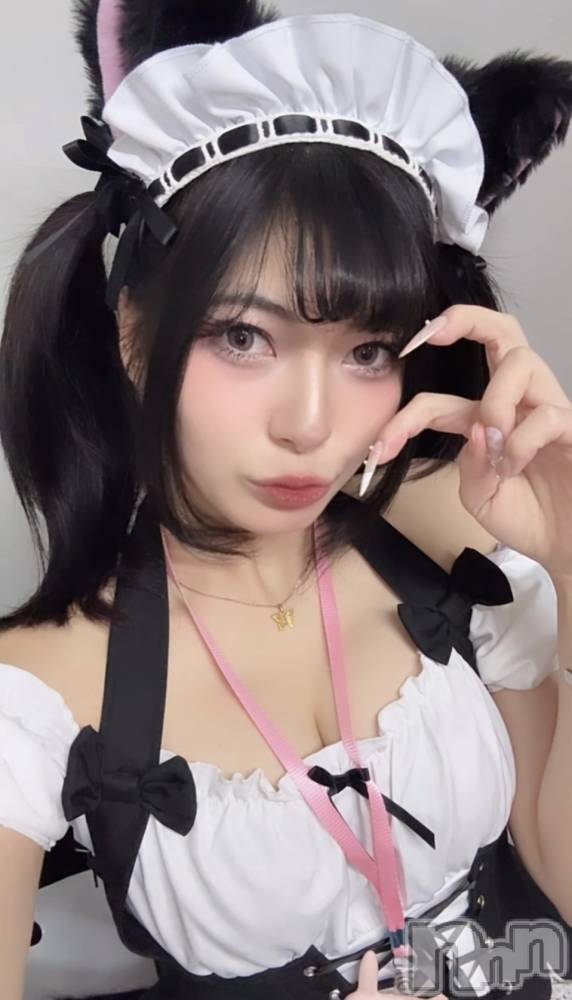 ʥå륺СROYAL ONE() ʤʤ225̥֥֥٥Ƚ