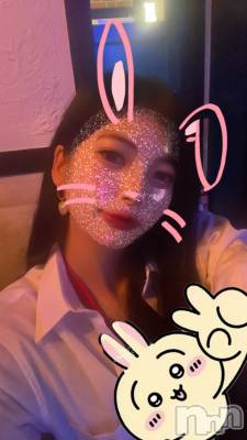 ʥå륺СROYAL ONE() ʤ(25)86ֺ̥֥ϥե롼Ŀ٤ƤԤ