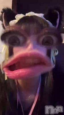 ̤