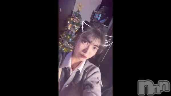 ֥ĥ꡼&#x1F384;&#x2728;