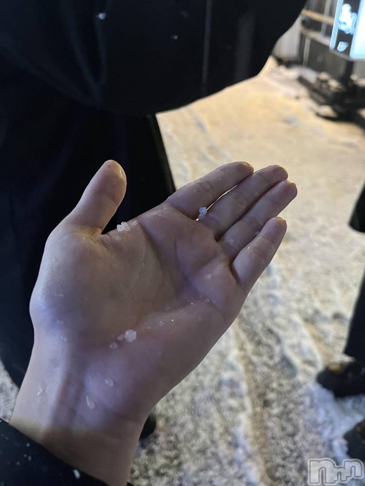 ʥå륺СROYAL ONE() ߤʤ111ִ̥֥🥶