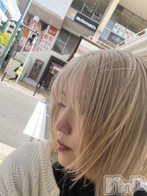 ʥå륺СROYAL ONE() ߤ(20)127̥֥ȱ᤿
