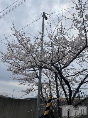 ʥå륺СROYAL ONE() ߤ(20)411ֺ̥֥餤Ƥ🌸