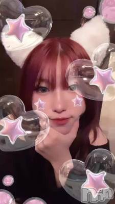 ˤޤ🐱